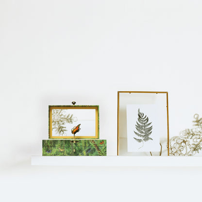 Butterfly Musical Jewelry Box for Girls - AU CLAIR DE LA LUNE - Enchantmints